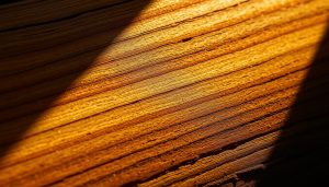 Madeira tauari é resistente a água?