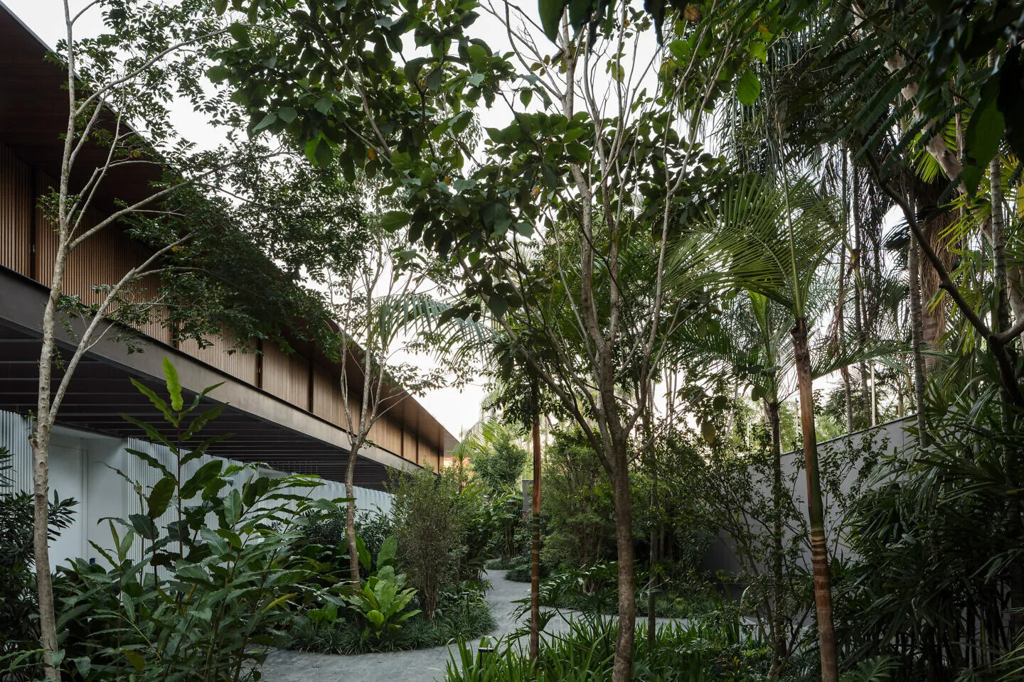 Casa do condomínio Ubá integrada à vegetação, projeto Jacobsen Arquitetura