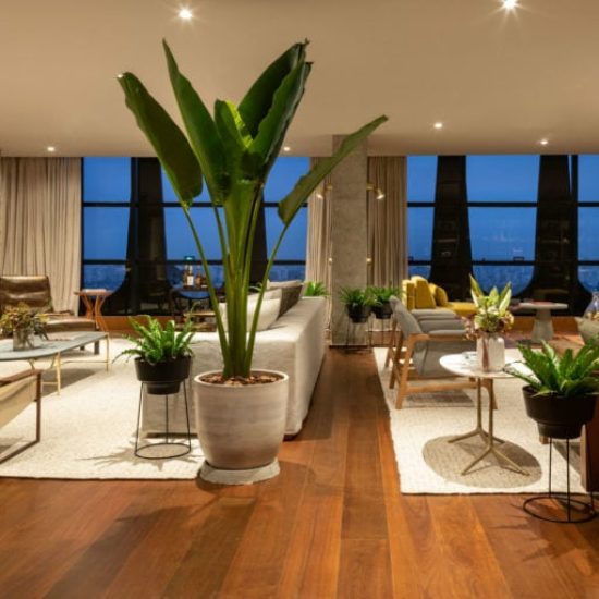 piso de madeira natural